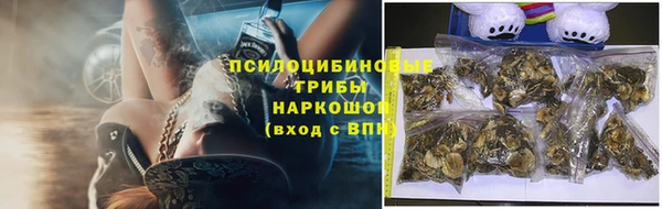 винт Алексеевка