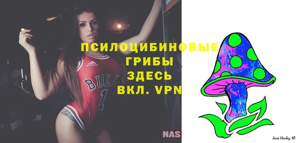 винт Алексеевка