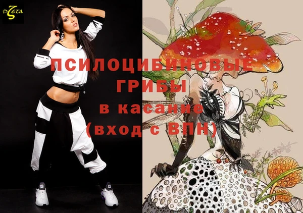дурь Алзамай