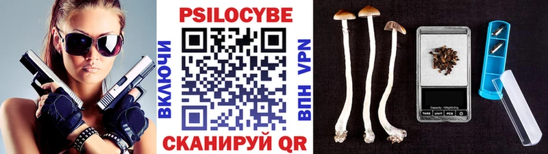 Псилоцибиновые грибы GOLDEN TEACHER  цена наркотик  Пикалёво 