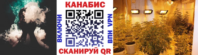 darknet клад Пикалёво Шишки марихуана ГИДРОПОН